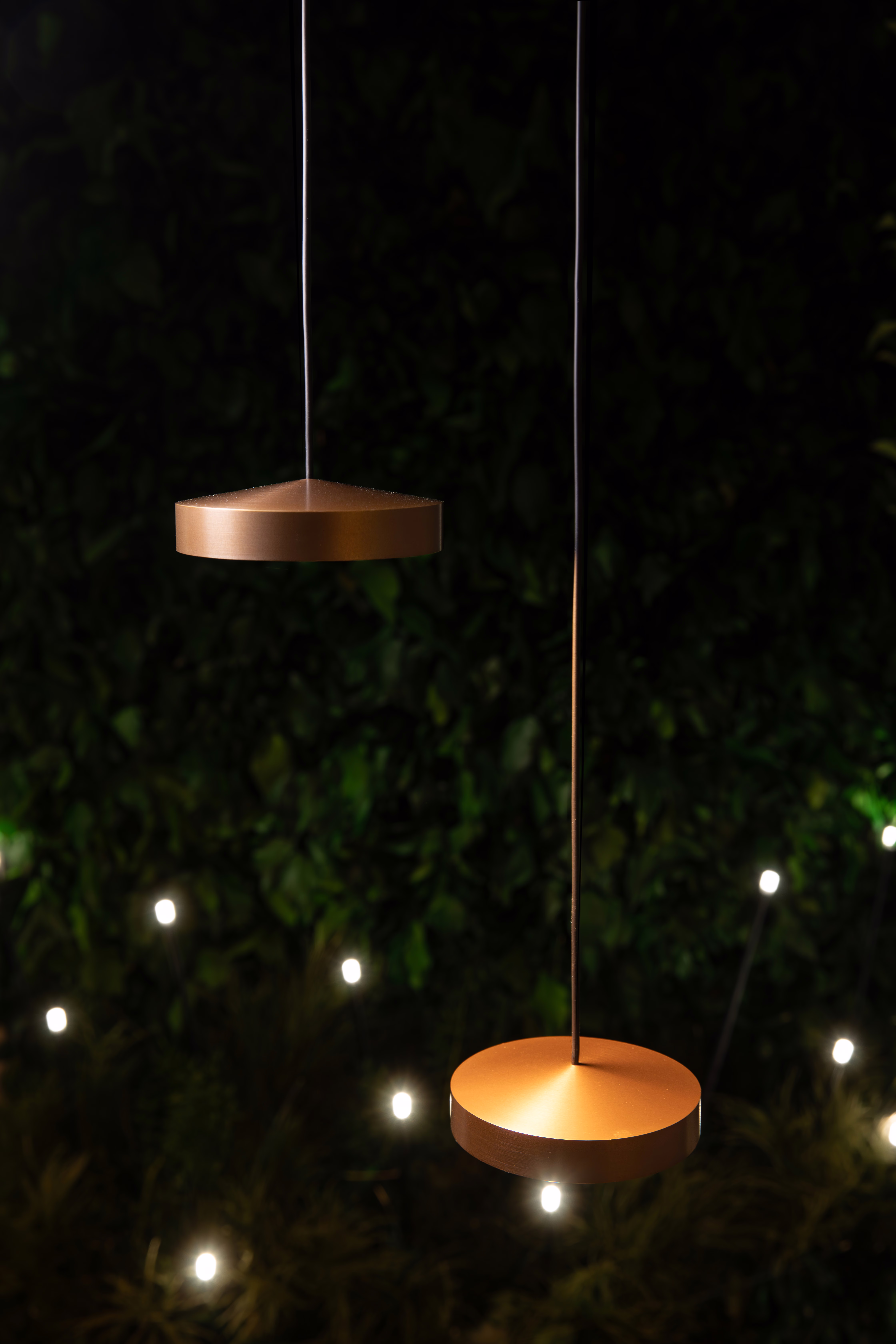 DGA Showroom Garden Details