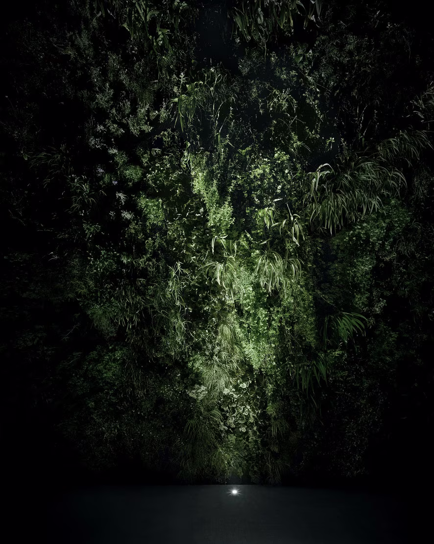 Landlord In Ground view 3