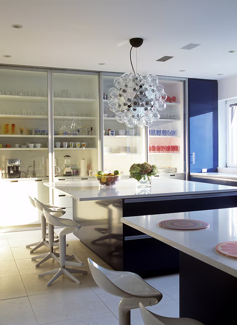 Taraxacum 88 Suspension view 2