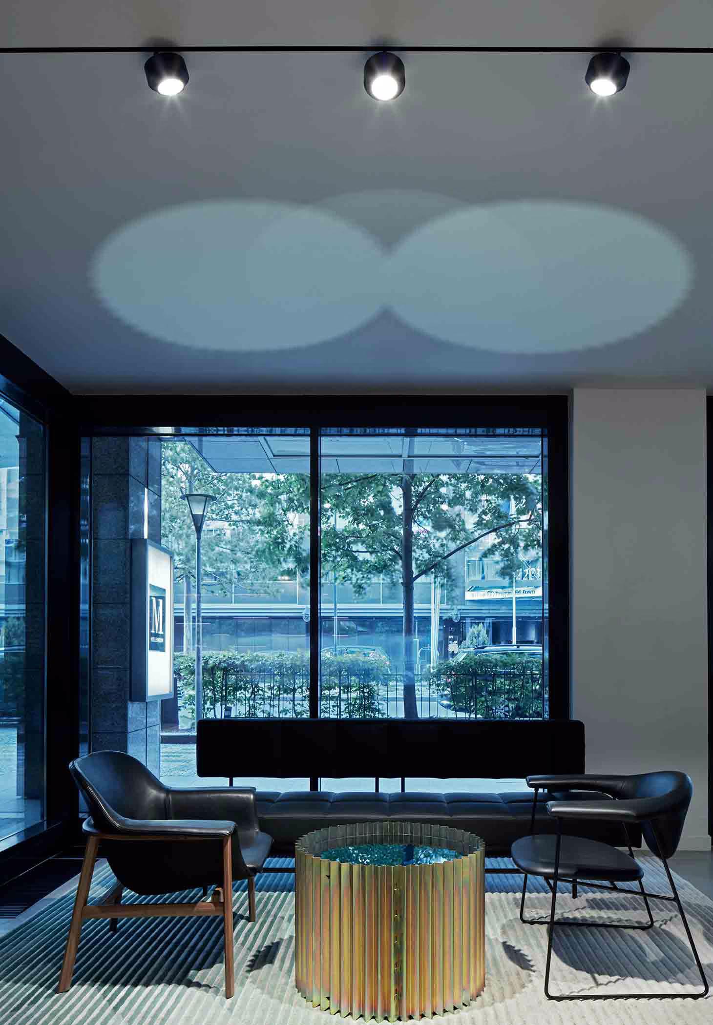 The Tracking Magnet view 5