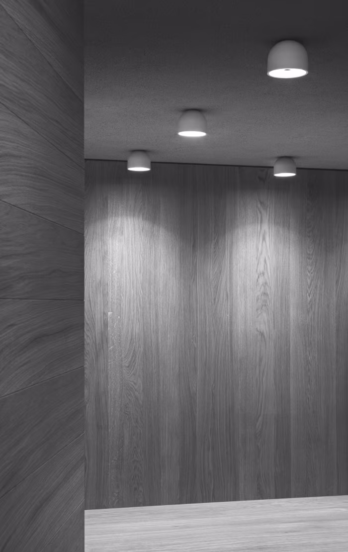 Wan Wall/Ceiling view 2